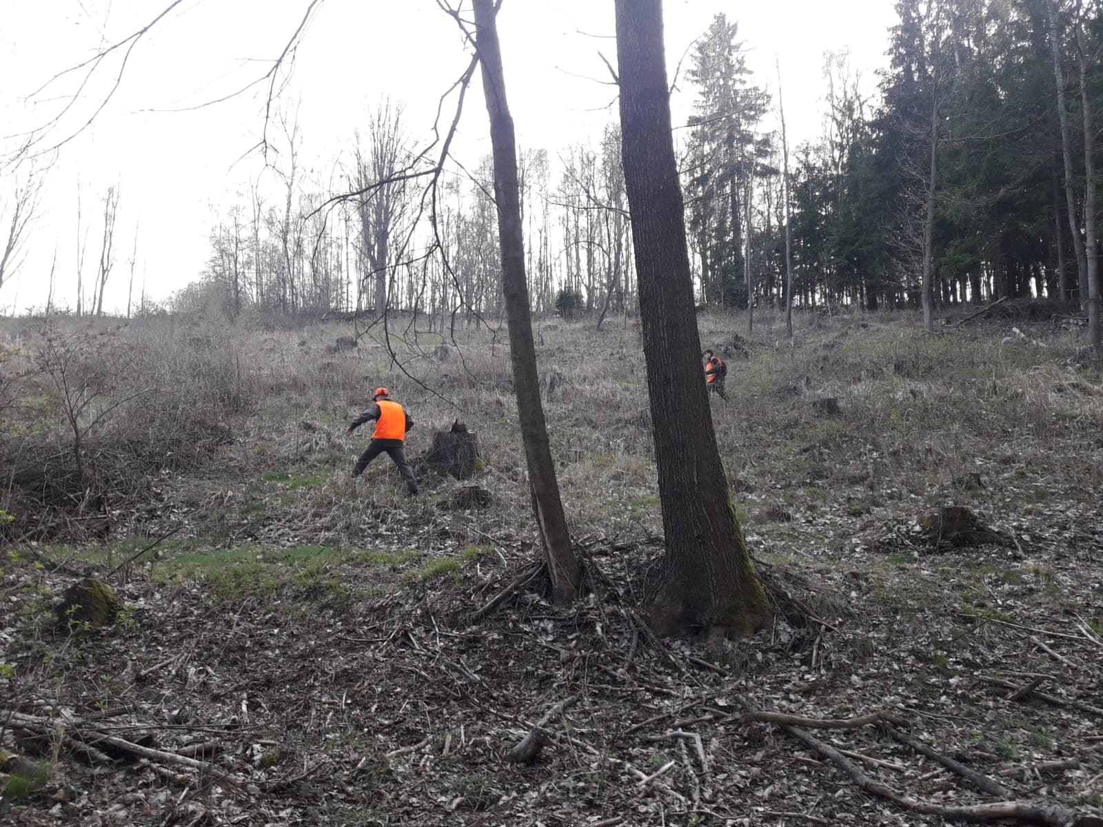 56786248_387396272102385_5724924383156240384_n